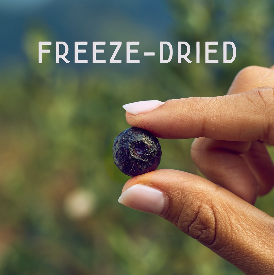 BC Organic Blueberries
