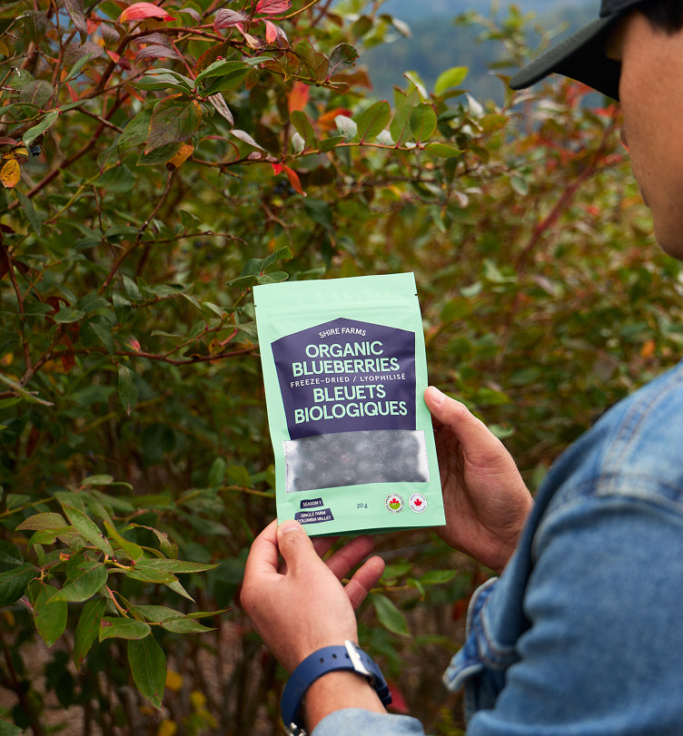BC Organic Blueberries