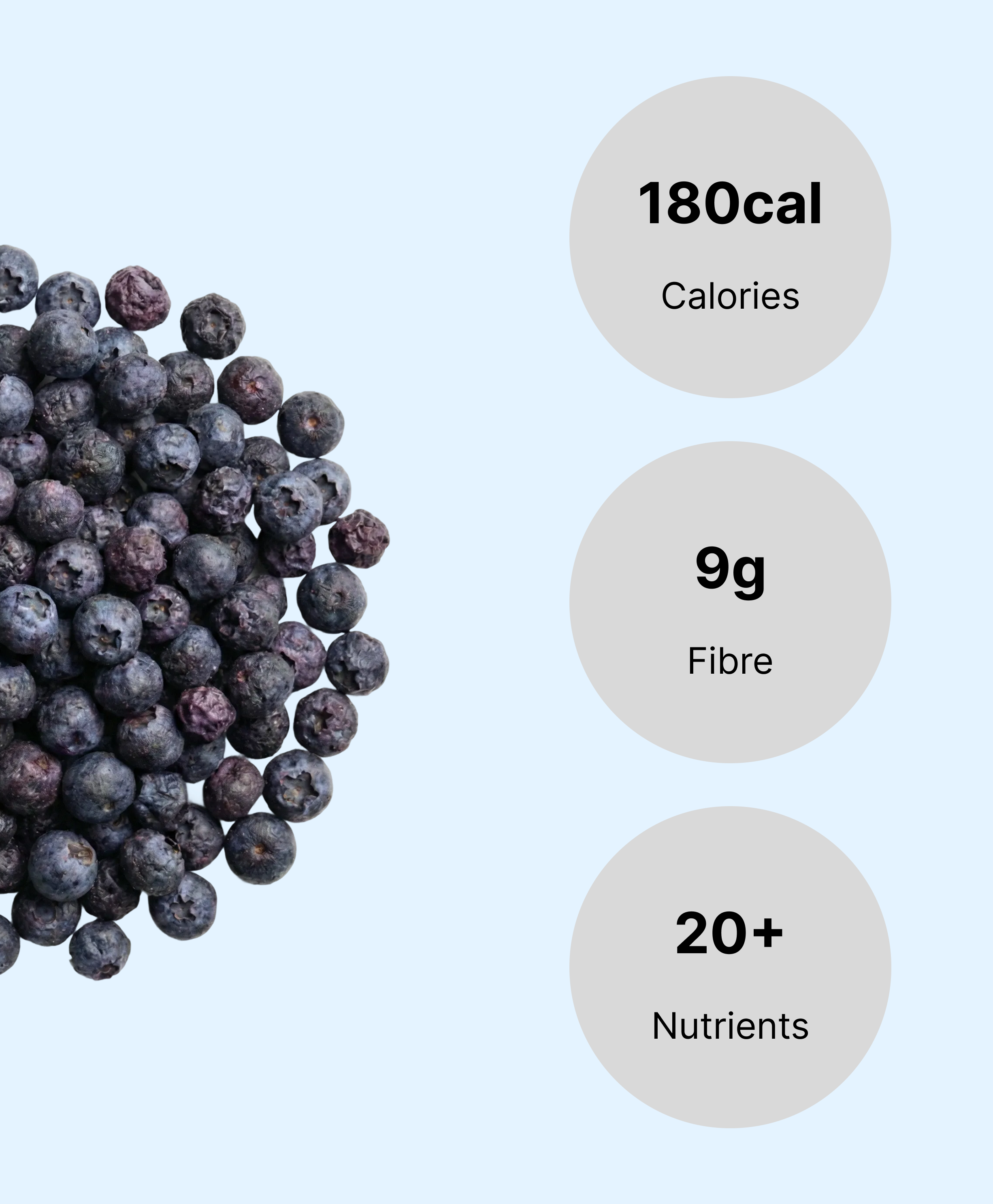 Whole Blueberries