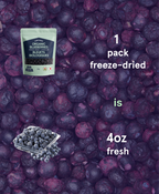 BC Organic Blueberries