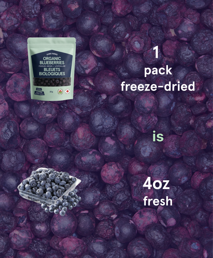 BC Organic Blueberries
