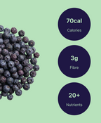 BC Organic Blueberries