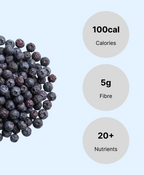 Organic Blueberries (10 x 25g)