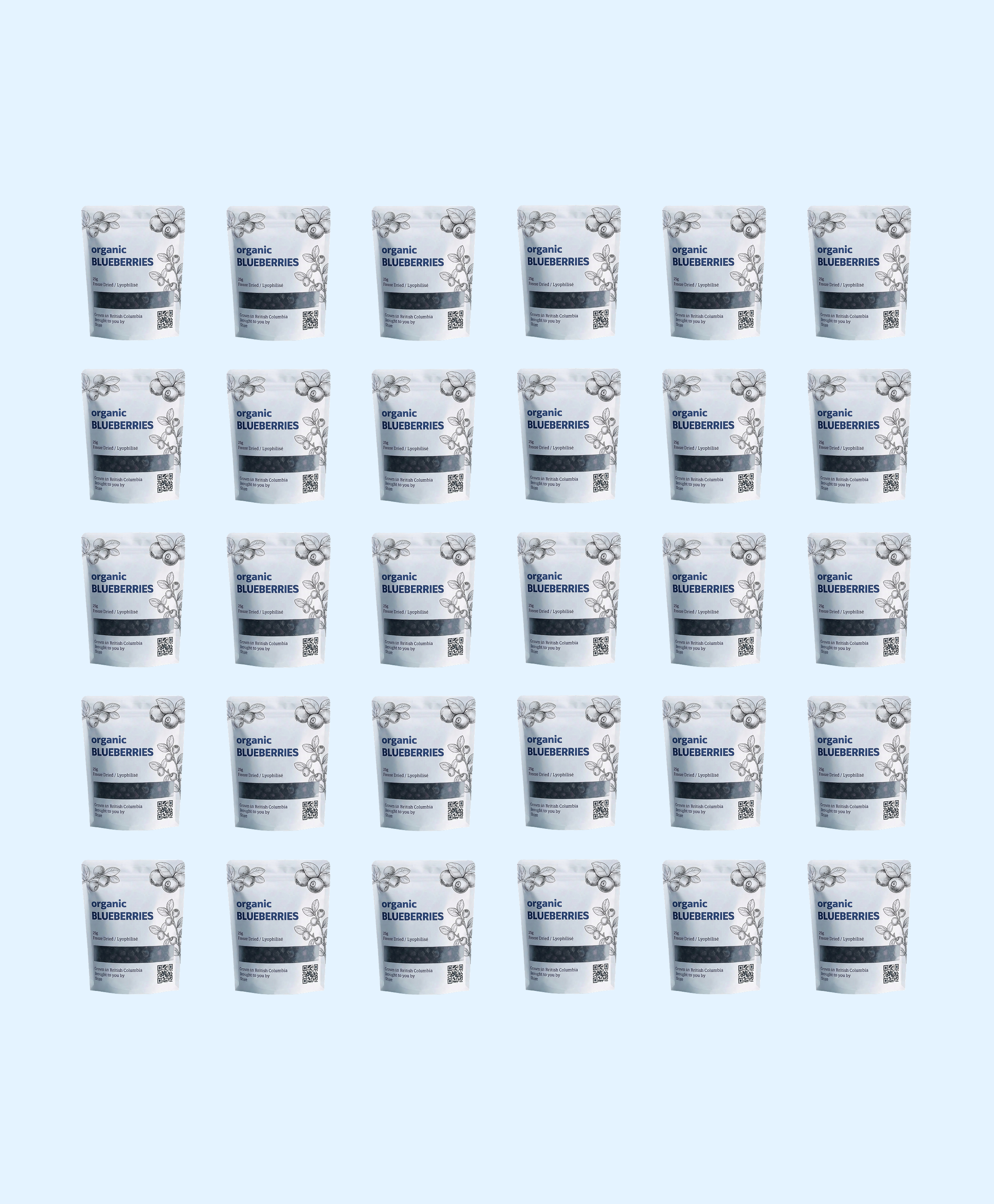 BC Organic Blueberries (30 x 25g Packs)