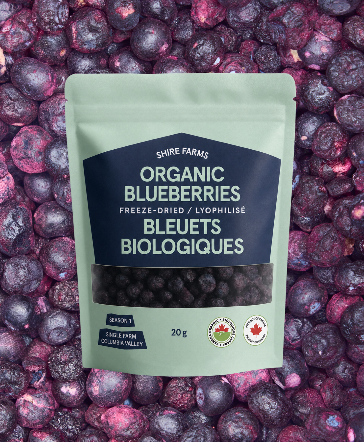 BC Organic Blueberries