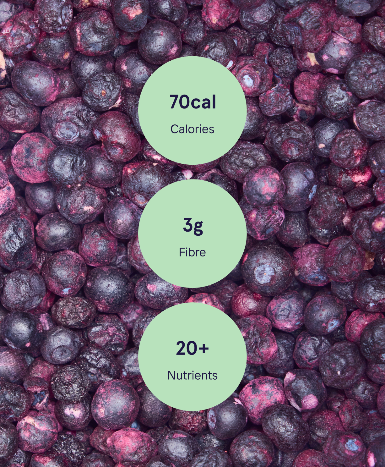 BC Organic Blueberries