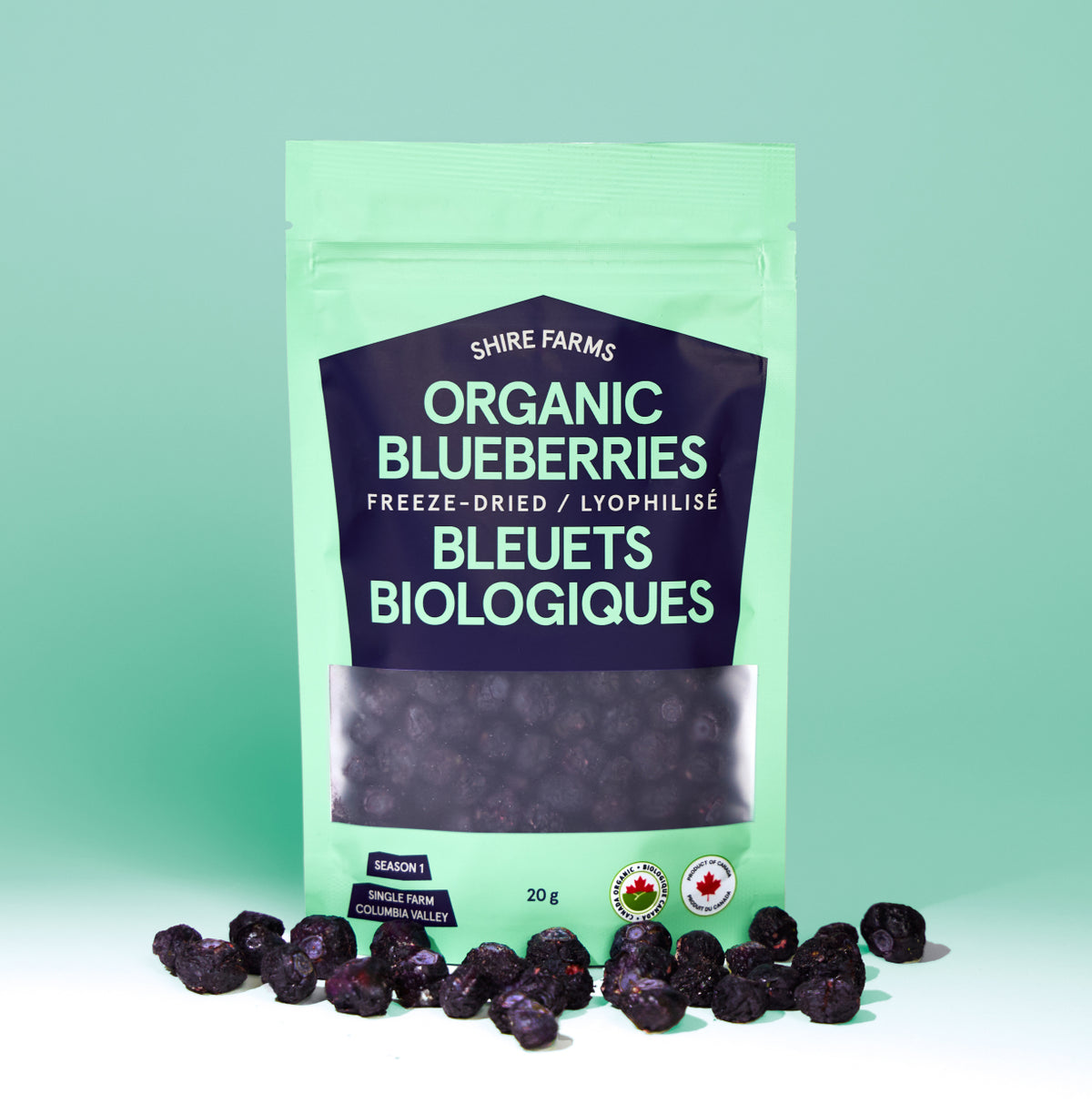 BC Organic Blueberries