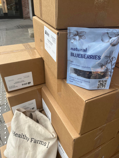 Dried Blueberries, 50g